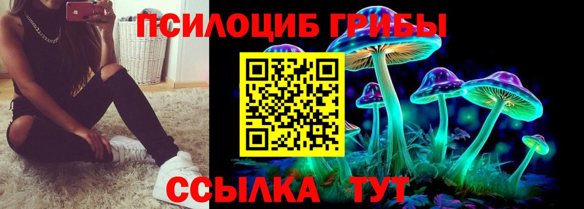 Тула  Псилоцибиновые грибы мицелий  Галлюциногенные грибы Magic Shrooms  Вход с VPN 